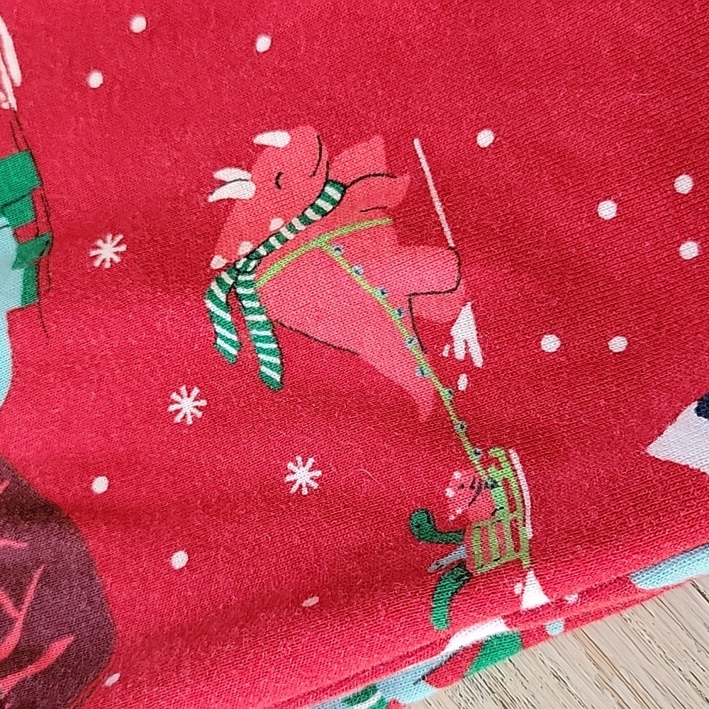 EUC Wondershop (Target) Women's Holiday pajama set 1X - Picture 11 of 12